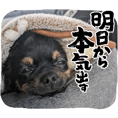 KUROMARU_20260606225914