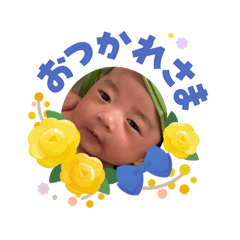 kin_20260606230643