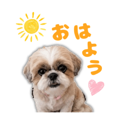 miki_20260606230626