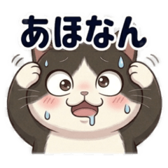 Kayo_20260606230339