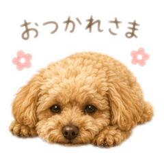 onoonoono