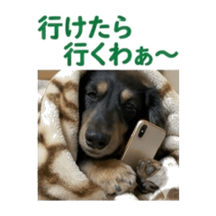 n_20260606232316