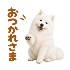 mao_20260606232339