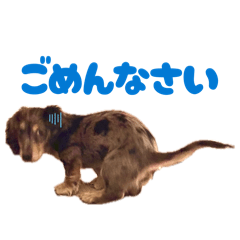 momemiupo_20260606234414