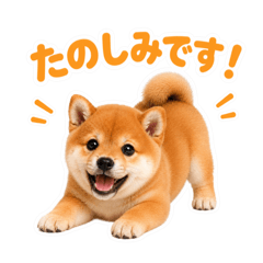 mao_20260606234757
