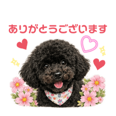 hapi_0829