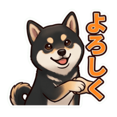 nobu's_20260607004229