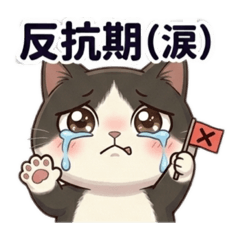Kayo_20260607004820