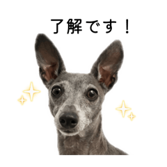 Itagurenococo