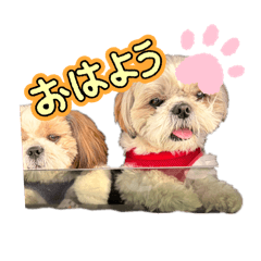 ryoumomo_20260607012129