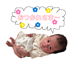 yunko_20260607014710