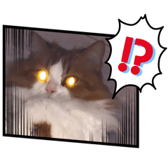 Funny cats reaction stamps!