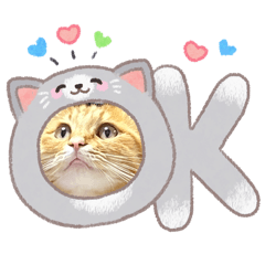 Ieneko_20260607023046