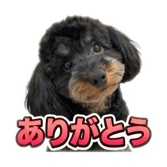 taku_20260607030350