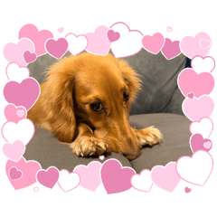 mugi_20260607034317