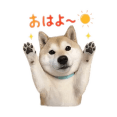 MUGIchan_20260607041545