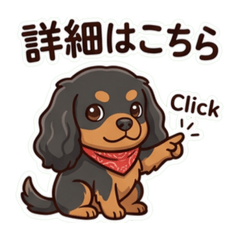 co.hana3_20260607061947