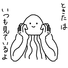 Muscle Jellyfish TOKITA