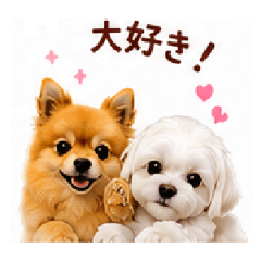 Docter FUU_20260607