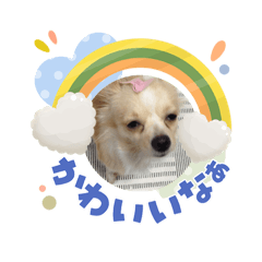 minmin_20260607065923