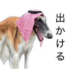 Yamasasuhimemus