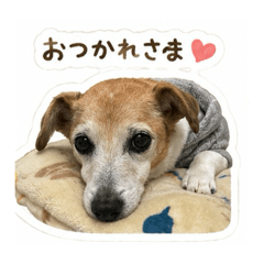 mumuu_20260607092808