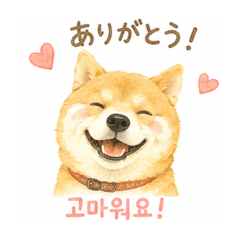 yamanbaman_20260603144620