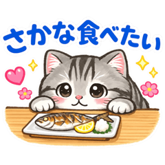 Two cute cats ouou and zaizai