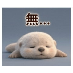 Fumi_20260606112944