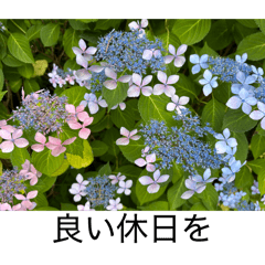 happyhappy_20260606112840