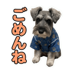 Elmer_20260606134425