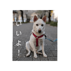 takotako_20260606133455