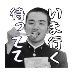 non_tang_20260606152504