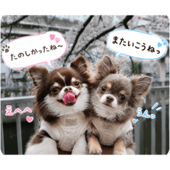 kasume_20260606150514