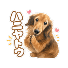Bori-Jiro