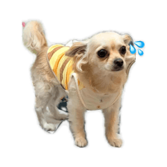 Nicky_20260606182107