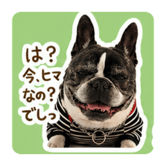 MUGICHA_20260606211436