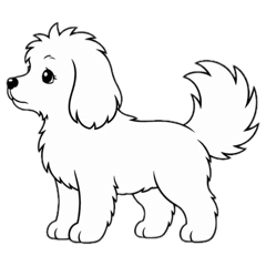 coco&_20260606223129