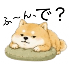 A cute Shiba Inu. (A bit cheeky)