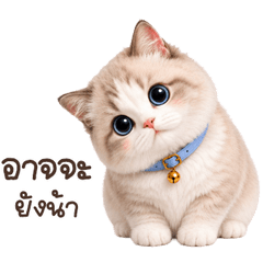 meowpuipui <3