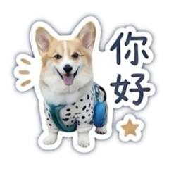 基腿的日常用語