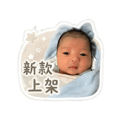 魚媽的網拍用語