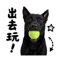 黑狗兄探吉