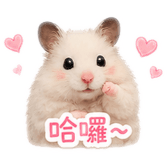 憨吉笨丸的日常2.0