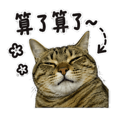 Mimi算了