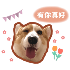 布丁愛搞怪-3