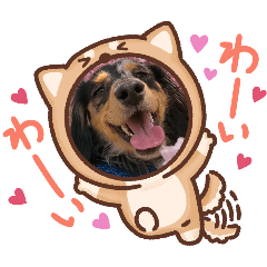kumi_20260607080055