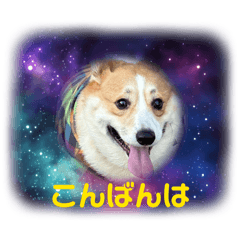shinJIRO_20260607084448