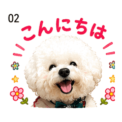 zen_20260607085816