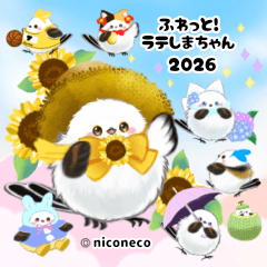 Latte shima-chan summer sticker 2026